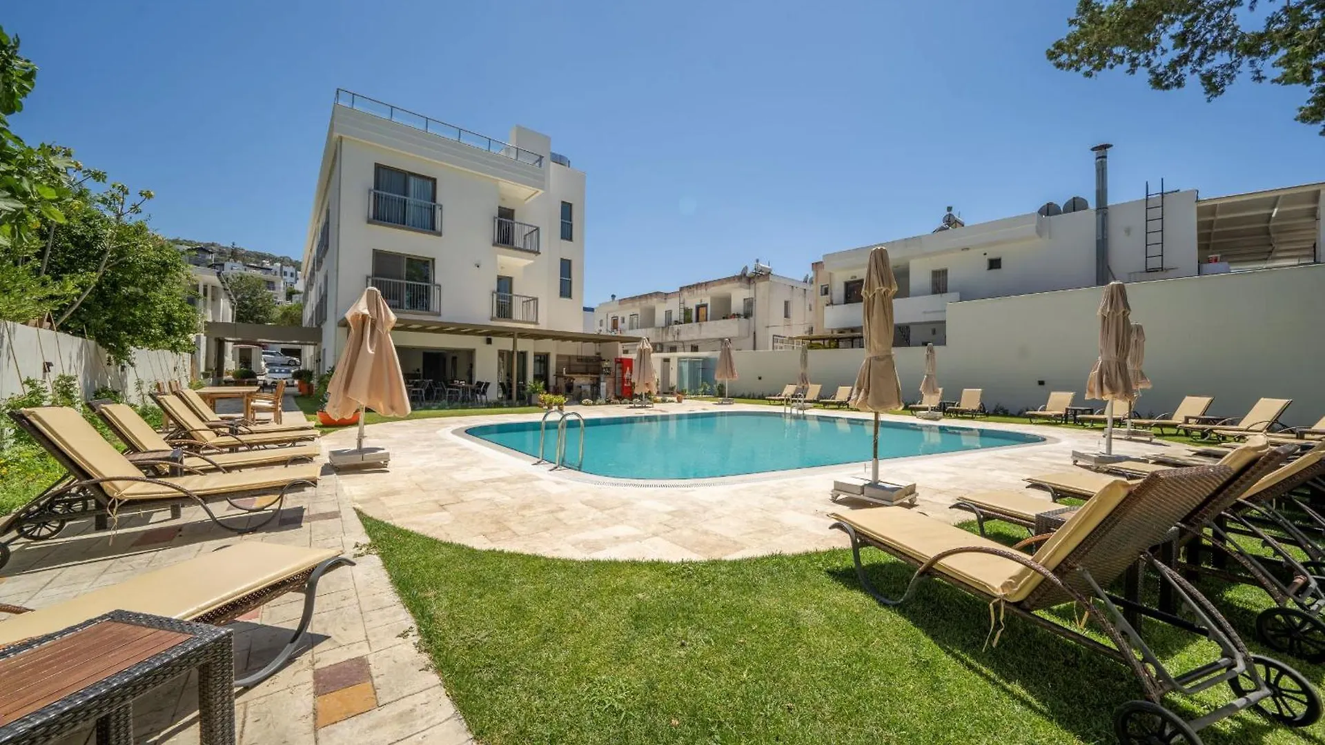 Contatti di Olive Tree Hotel